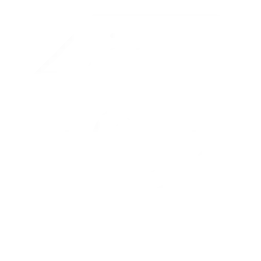 The C Programming Language: Power and Versatility